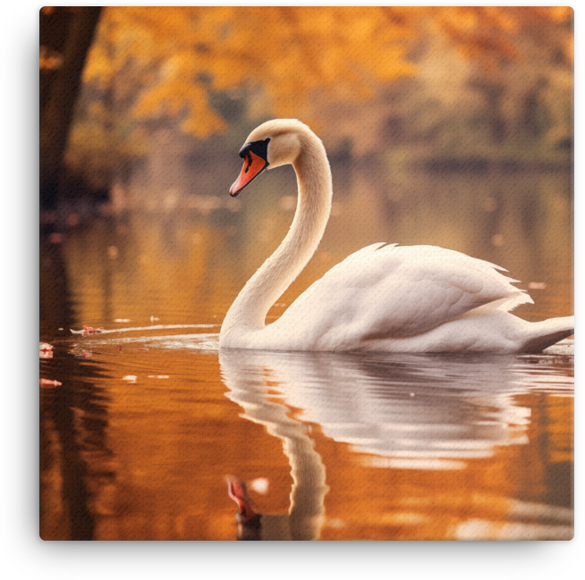 Autumn Swan Lake Canvas Wall Art