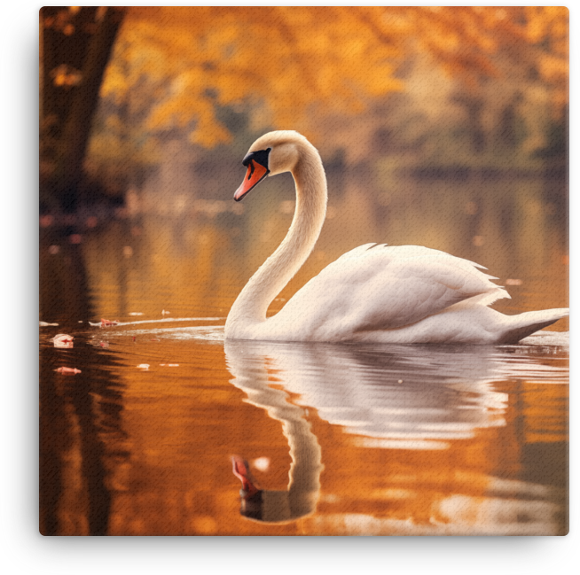 Autumn Swan Lake Canvas Wall Art