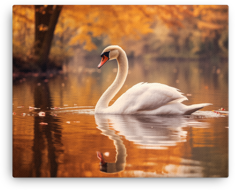 Autumn Swan Lake Canvas Wall Art