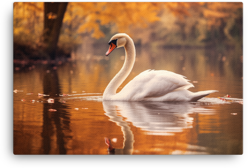 Autumn Swan Lake Canvas Wall Art