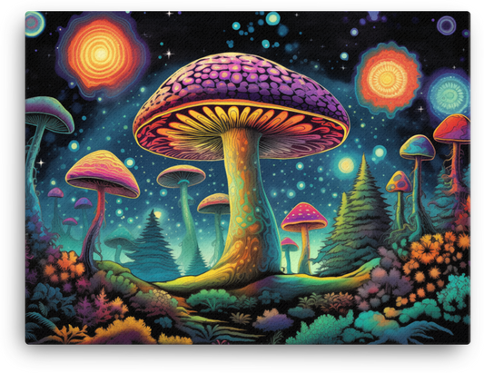 Galactic Mushroom Awakening Canvas