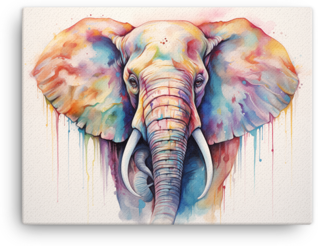 Spectrum Drip Elephant Portrait Canvas Wall Art