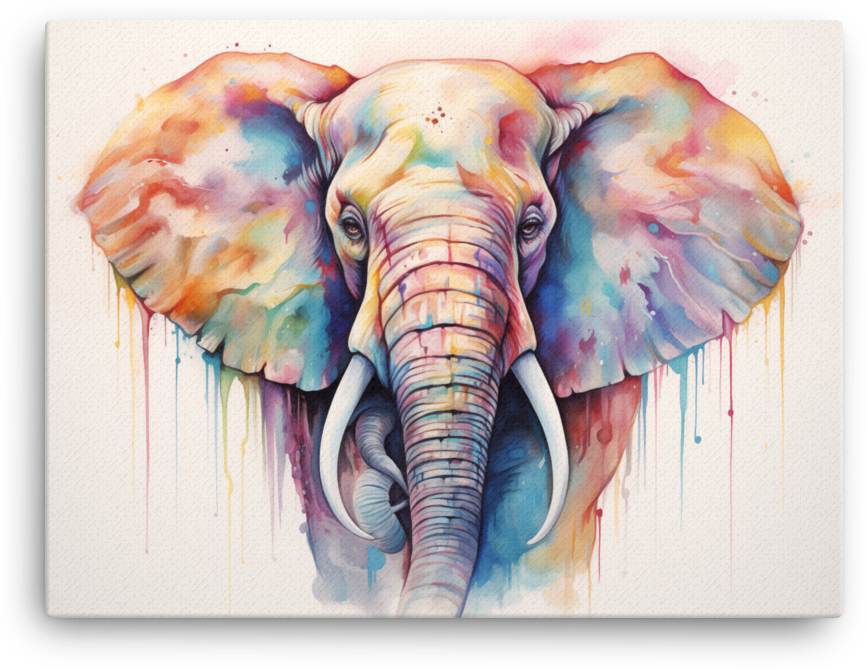 Spectrum Drip Elephant Portrait Canvas Wall Art
