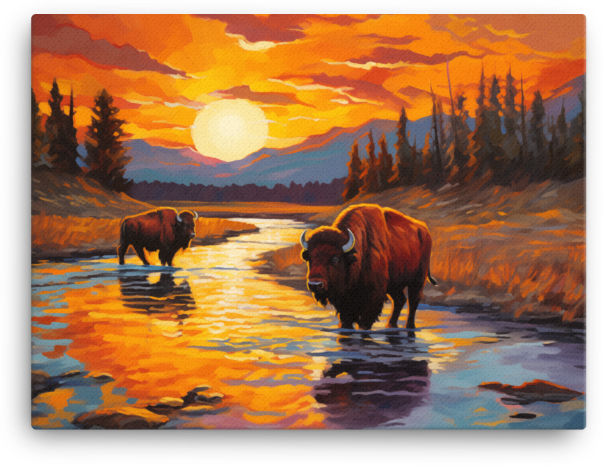 Sunset Reflections Bison Canvas Wall Art